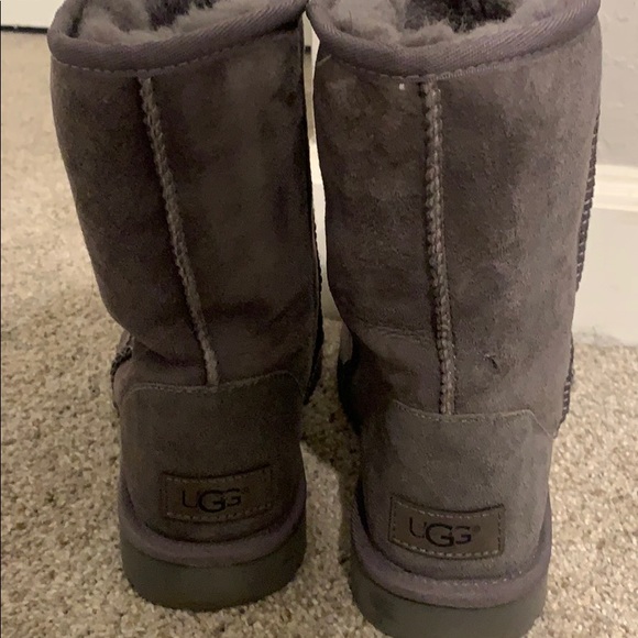 Short Uggs - Picture 4 of 6